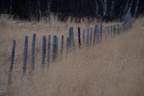 Lunsjprat om stillhet 