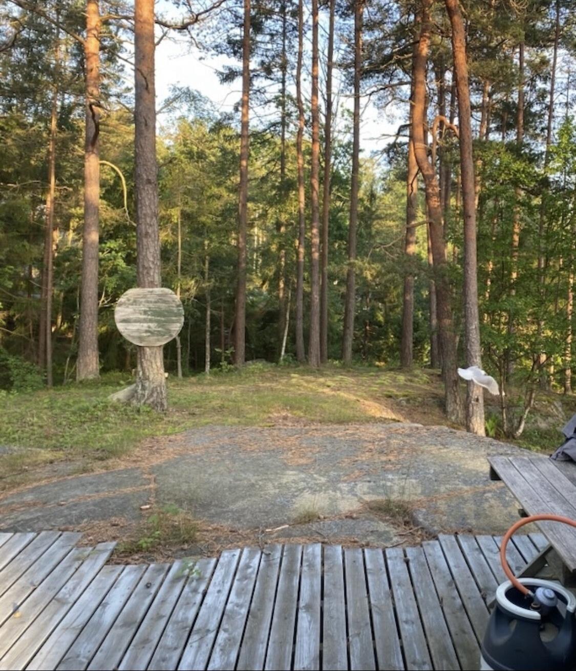 Hyttetur / Cabin trip