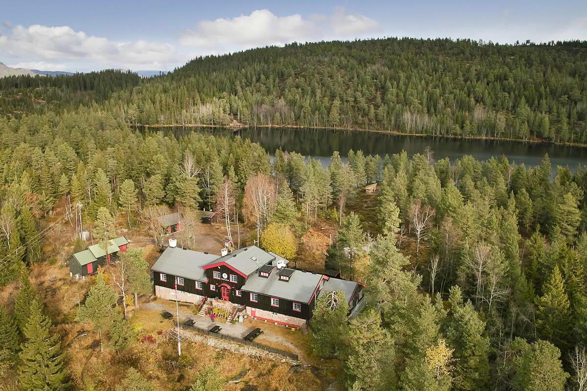 Skogstur / Forest hike